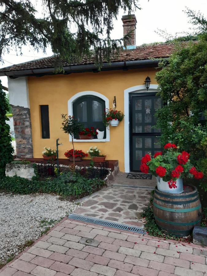 Villa-Magdi Vendeghaz Revfulop Exterior photo