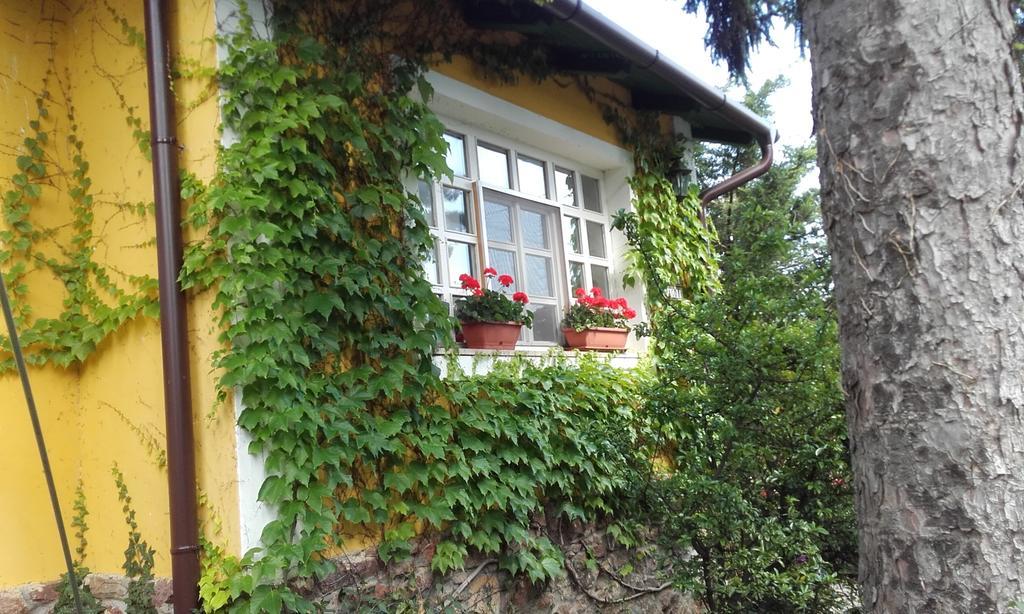 Villa-Magdi Vendeghaz Revfulop Exterior photo