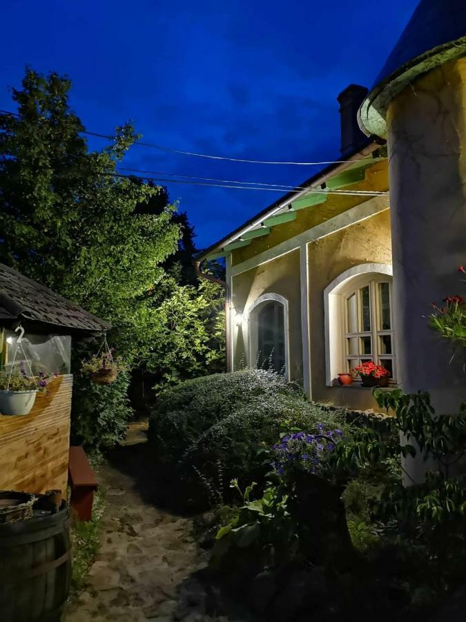 Villa-Magdi Vendeghaz Revfulop Exterior photo